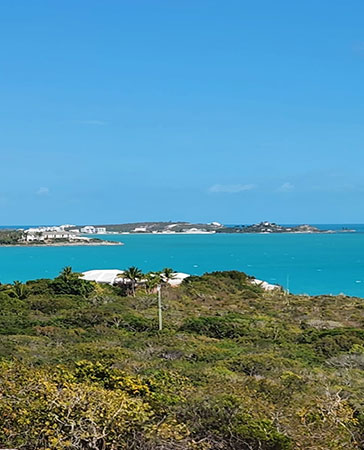 Jolly Realty TCi Land for Sale